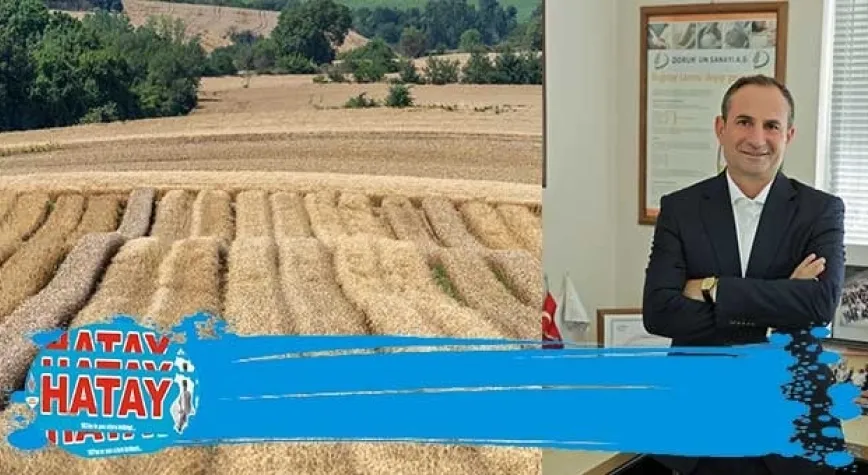  DÜNYA TAHIL PİYASASINA TAHIL KORİDORU  ETKİSİ