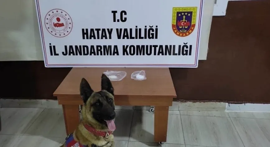 Haber Resmi