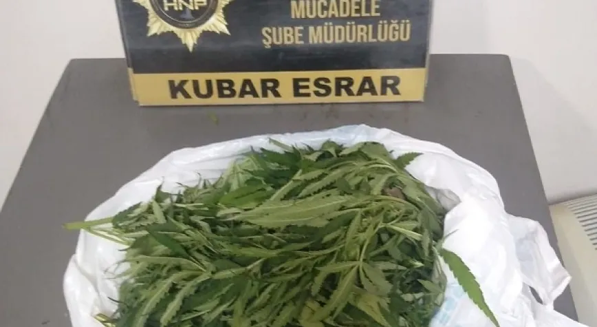 Haber Resmi