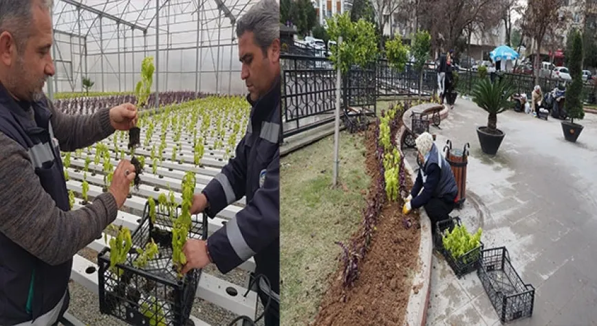 EN BAŞARILI SİEUGREEN PROJESİ