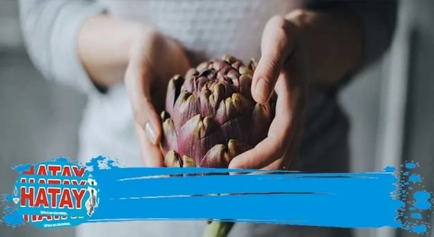 Enginar vitamin deposu