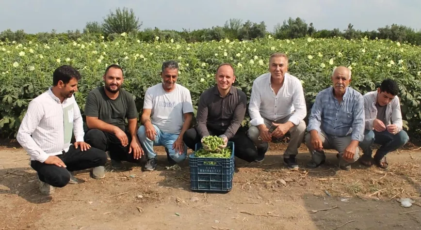 Erzin’de Bamya Hasadı Bereketle Başladı