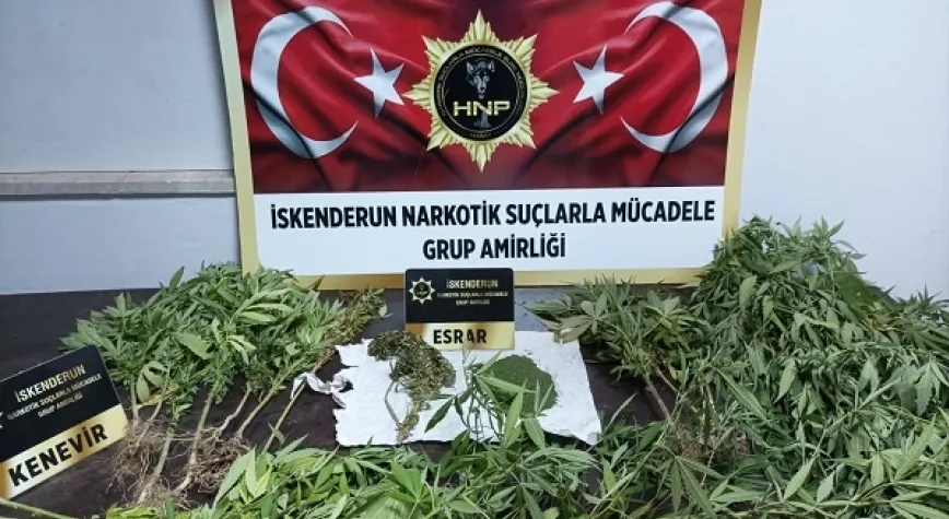 Haber Resmi