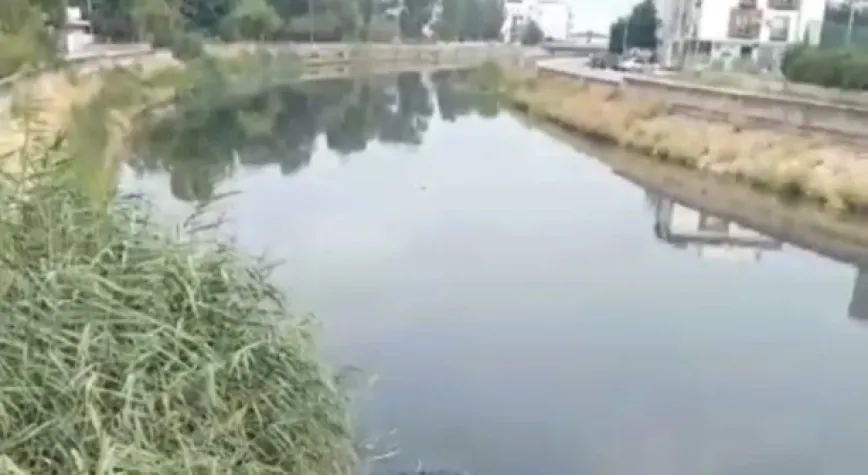 FEYEZAN KANALI KANAYAN YARA