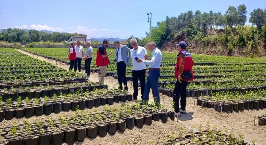 Fidan Üreticileri Ziyaret Edildi