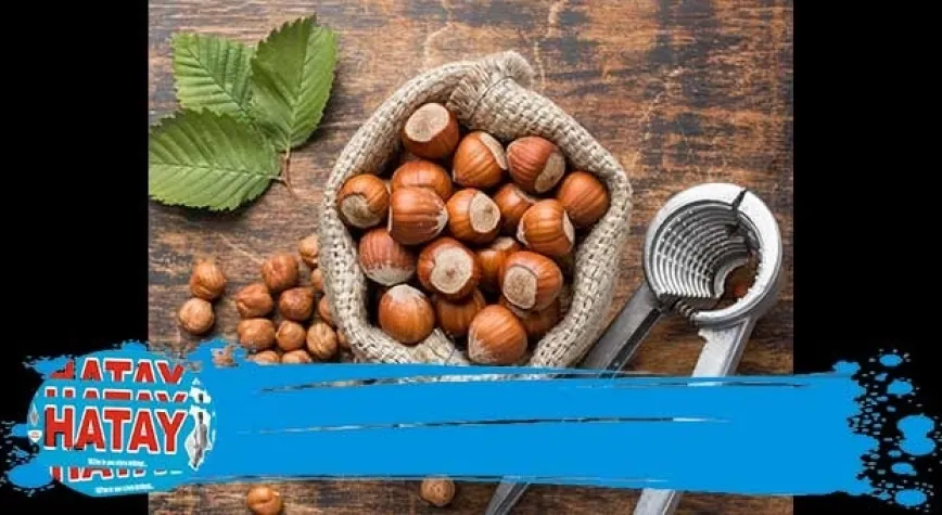 Fındığın Sağlık Yararları Nelerdir?