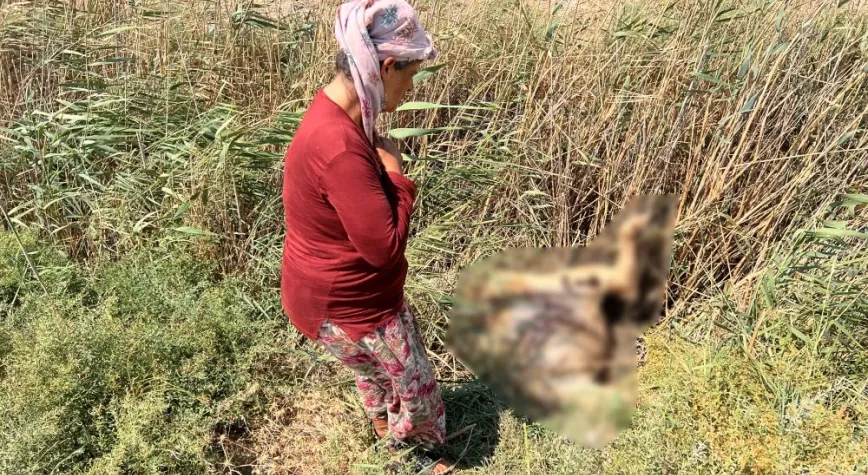 Geçimini Hayvanlarından Sağlıyordu, Peş Peşe Yıkım Yaşadı