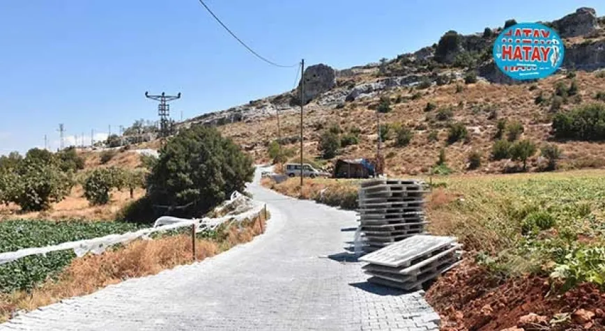 GELİNLER DAĞINA ULAŞIM KOLAYLAŞACAK