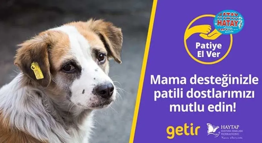 Getir’den hayvan barınaklarına 1,5 milyon kap mama