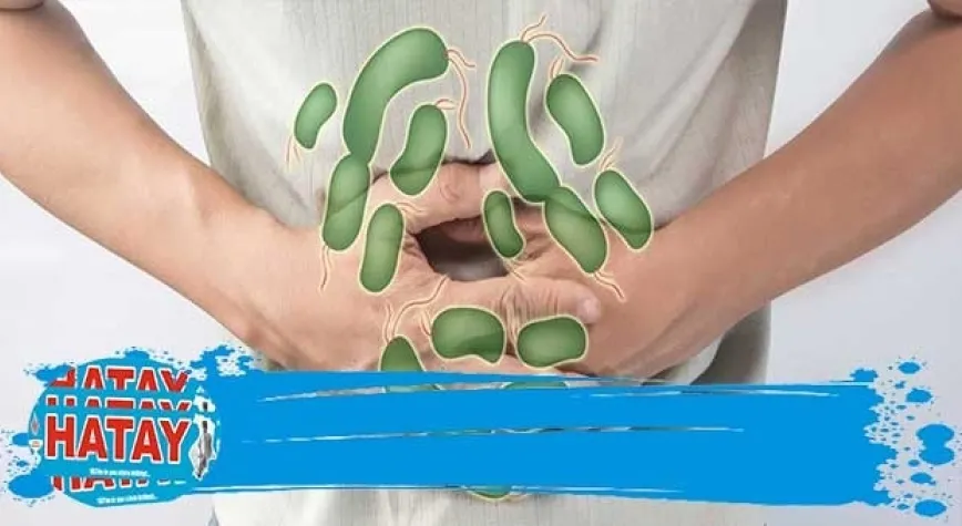 Gıda Zehirlenmesi Nedenleri Nelerdir? 