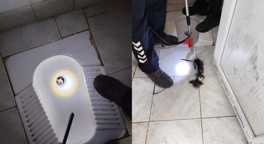 Gidere Düşen Yavru Kedi Kurtarıldı