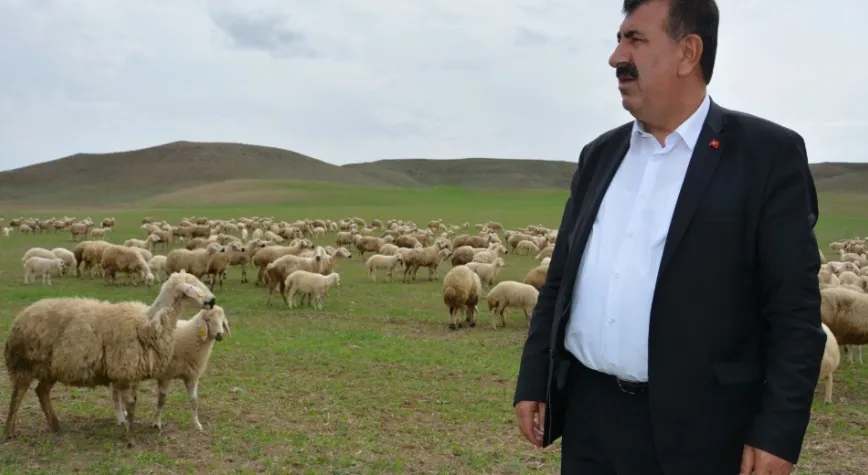 Girdi maliyetleri ve çoban sorunlarının çözümü küçükbaş hayvan sayısını artırır.