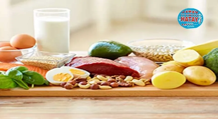 Günlük Protein İhtiyacı Ne Anlama Gelir?