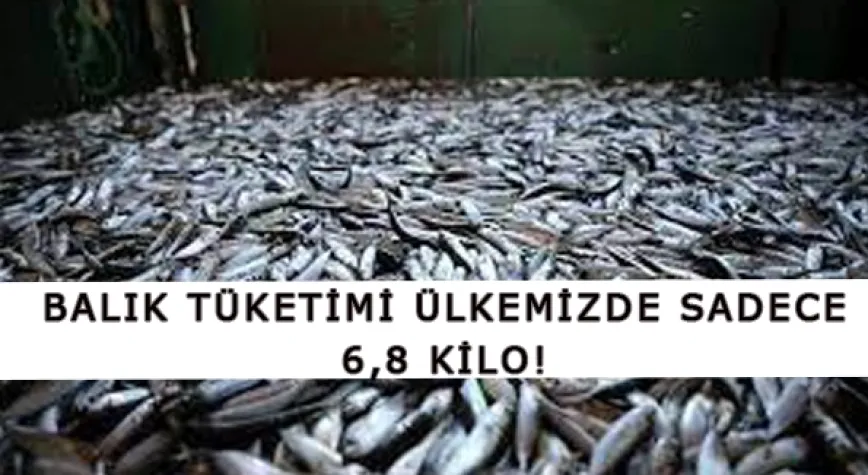 Haftada En Az İki Kere Balık Tüketilmeli!