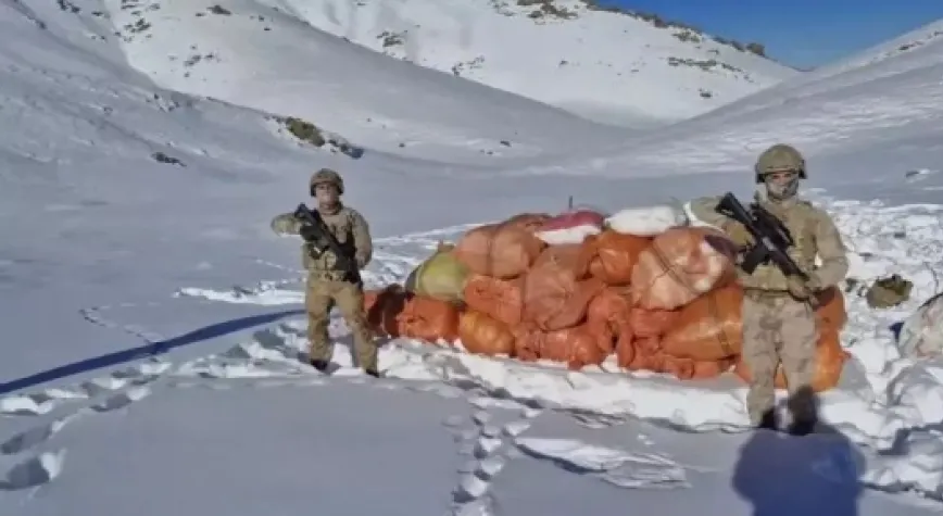 Hakkari ve Ağrı'da yüklü miktarda uyuşturucu ele geçirildi: 1 gözaltı