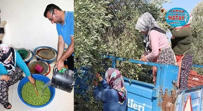 Halhalı İçin Vira Bismillah Dediler