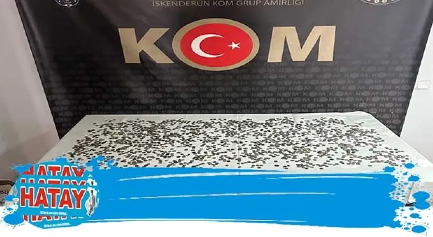 Haber Resmi