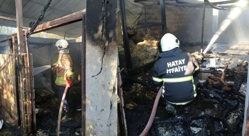 Hassa’da Ev ve Ahır Yangını Paniğe Neden Oldu