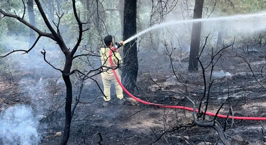 Hassa’da Orman Yangını Kısa Sürede Söndürüldü