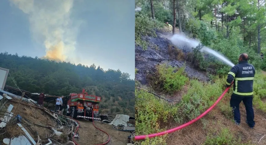 Hassa’da Orman Yangını Korkuttu