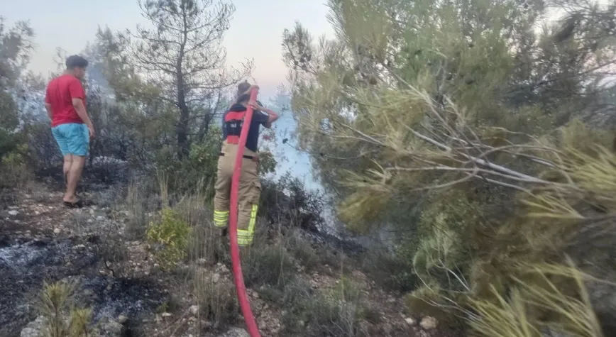 Hatay Antakya’da Orman Yangını Paniği