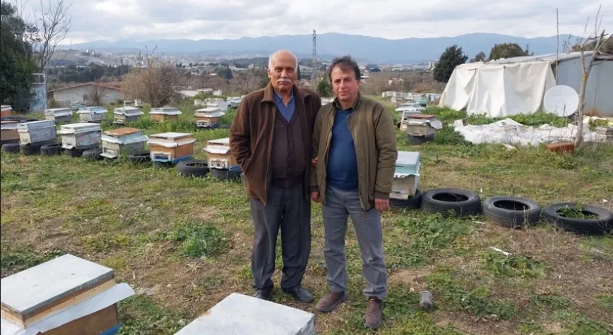 Hatay Arı Yetiştiricileri Birliği'nden Üreticilere Ana Arı Desteği
