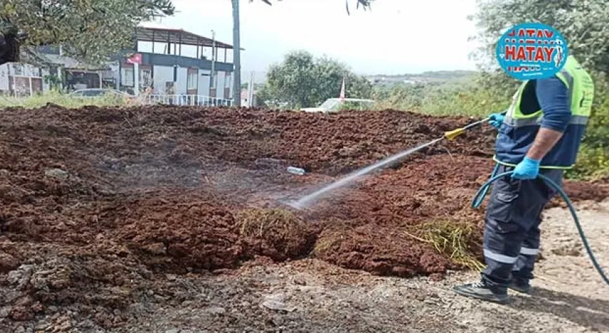 HATAY BÜYÜKŞEHİR, 72 BİN 108 NOKTADA İLAÇLAMA YAPTI