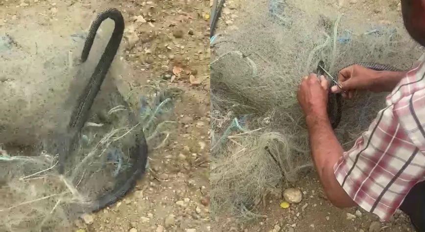 Hatay'da Balık Ağına Takılan Yılan Kurtarıldı