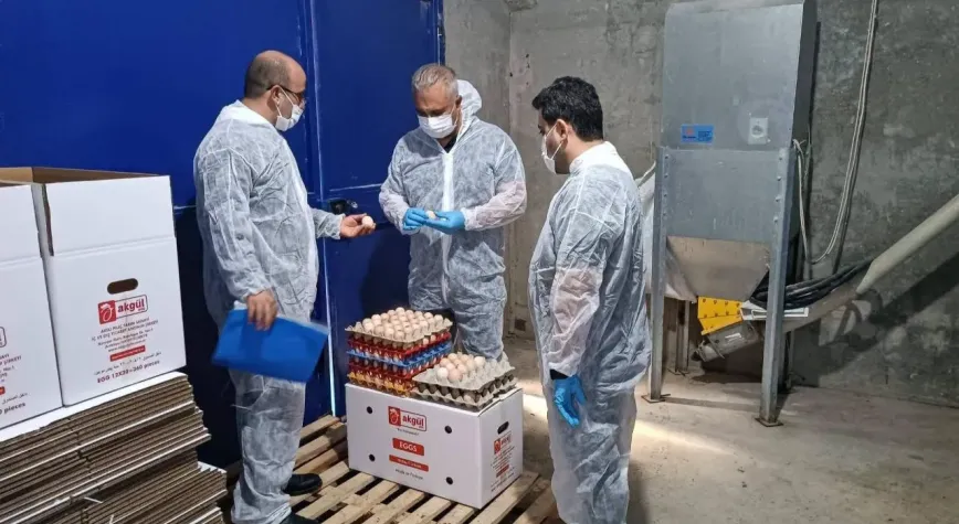 Hatay'da Damızlık Yumurta İşletmesine Sıkı Denetim