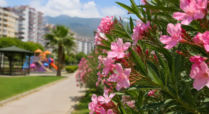 Hatay'da Güzelliğiyle Aldatıyor: Zakkum Hayati Tehlike Saçıyor
