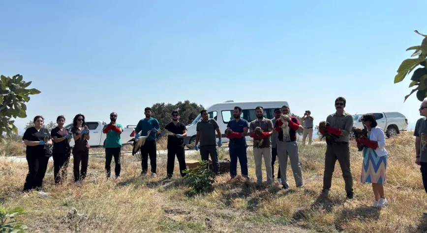 Manşet Resmi