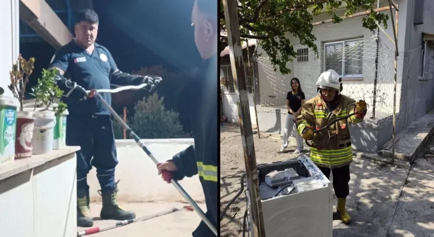 Yerleşim Yerlerine Giren Yılanlar Yakalandı