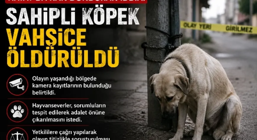 Manşet Resmi