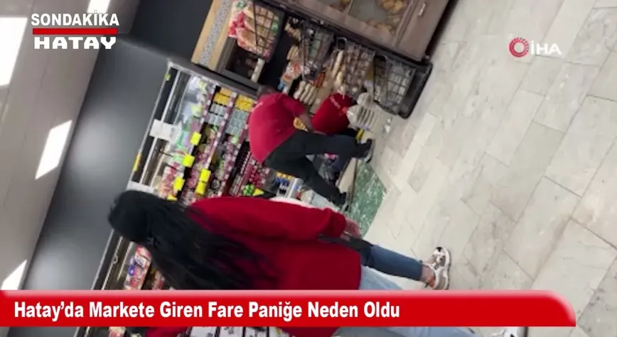 Video Resmi