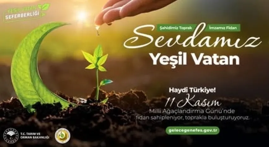Haber Resmi