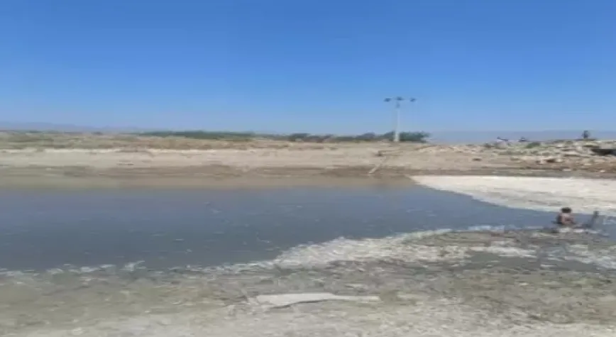 Hatay’da balık ölümleri yaşandı