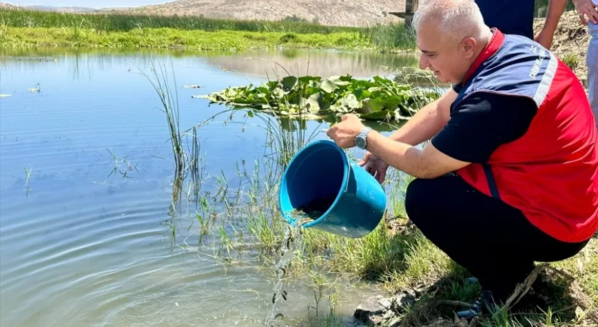 Hatay’da baraj ve göletlere 1 milyon yavru balık bırakıldı