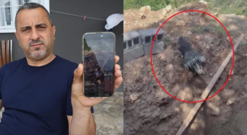 Manşet Resmi