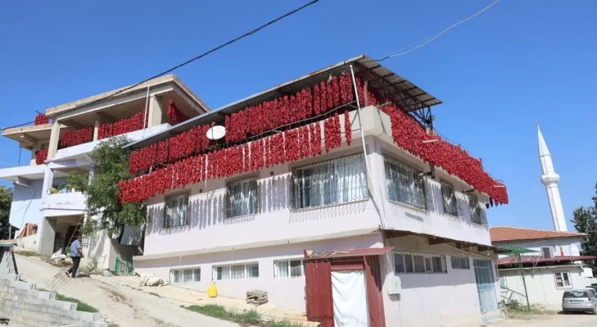 Hatay’ın Kırmızı Köyü Yenihisar’da Biber Mesaisi Başladı