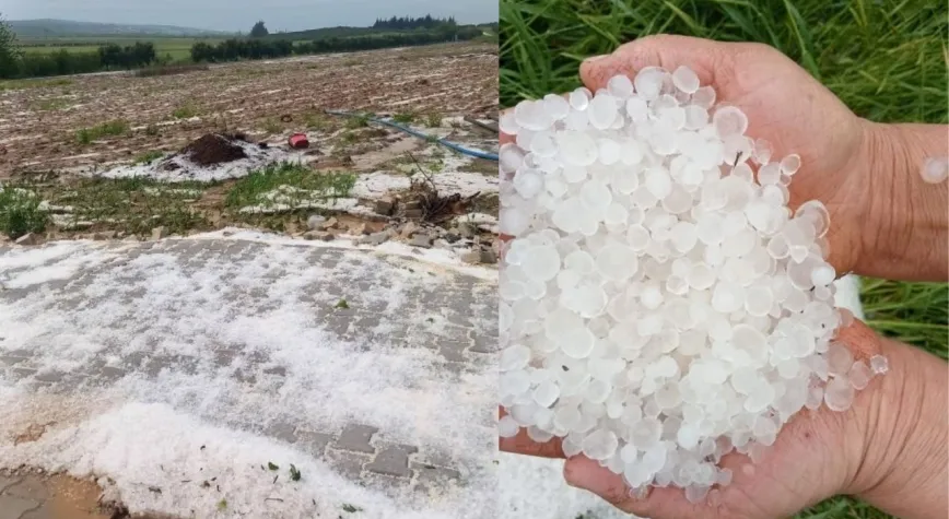 Hatay’da Fındık Büyüklüğünde Dolu Tarımı Vurdu 