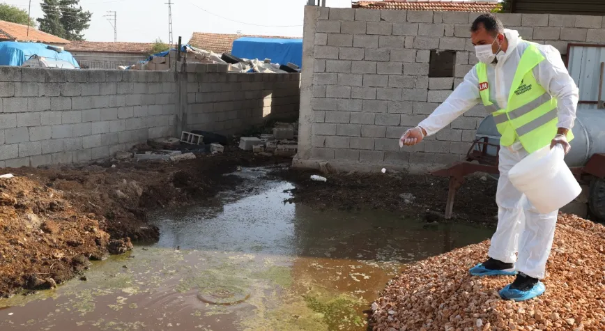 Hatay’da Hayvancılık Bölgelerinde Karasinek Mesaisi