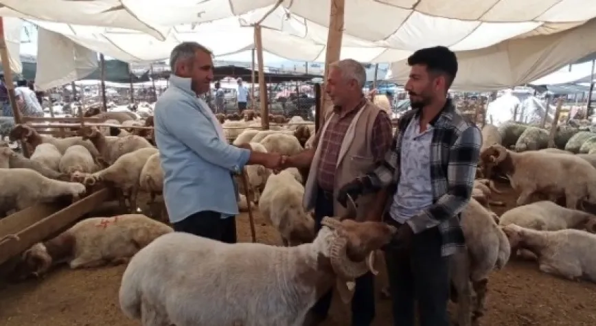 Hatay’da Kurban Pazarı Kuruldu