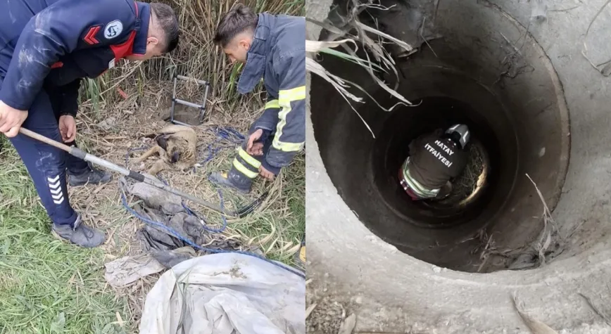 Hatay’da Kuyuya Düşen Köpek Ekiplerce Kurtarıldı