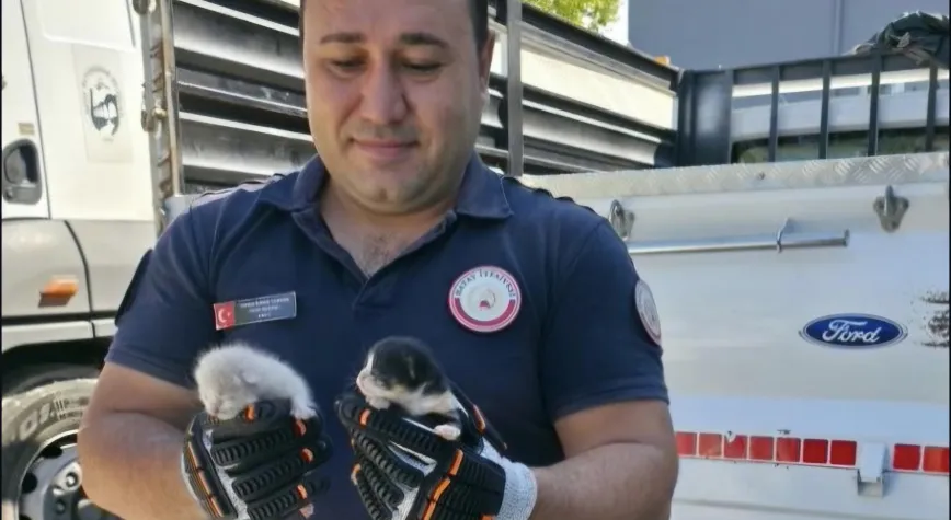 Hatay’da Mahsur Kalan Hayvanlar Kurtarıldı