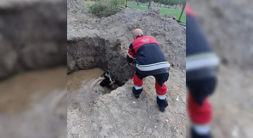 Hatay’da Mahsur Kalan Hayvanlar Kurtarıldı