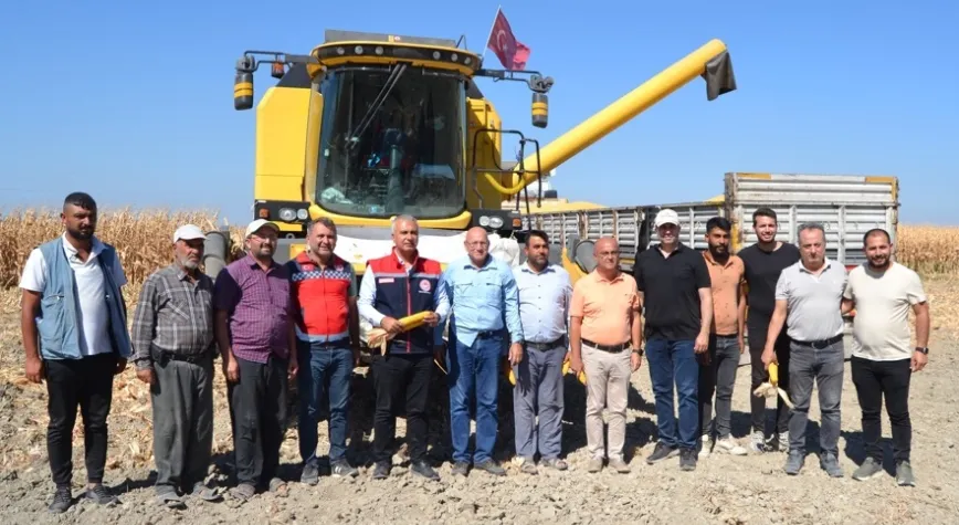 Hatay’da mısır hasadı yapıldı