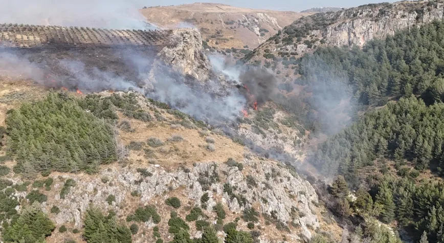 Hatay’da Orman Yangını: Alevler Zeytinlik Alana Sıçradı