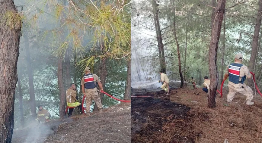 Hatay’da Orman Yangını Kısa Sürede Söndürüldü