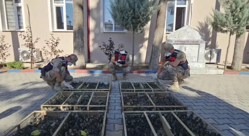 Hatay’da Sınırda Büyük Şok! 2 Bin 114 Saka Kuşu Gizli Bölmeden Çıktı