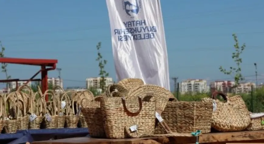 Hatay’da Su Sümbülleri Ekonomiye Kazandırılıyor